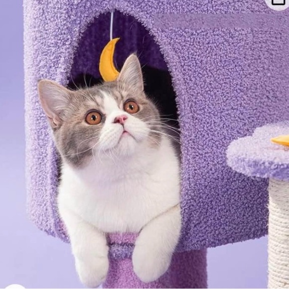 Cat tower. 65 inches New original box. - Picture 3 of 5